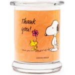 Candela profumata in vetro Peanuts 250 g - Thank You