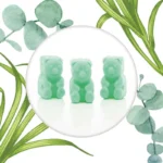 Cera si scioglie soia Ted Friends 50 g - Lemongrass Eucalyptus