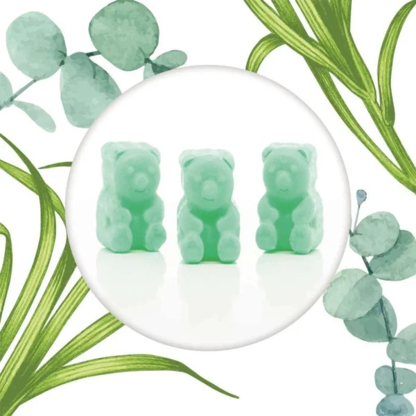 Cera si scioglie soia Ted Friends 50 g - Lemongrass Eucalyptus