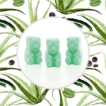 Cera si scioglie soia Ted Friends 50 g - Acai Palm Aloe